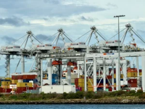 Grúas portuarias operando contenedores para comercio internacional
